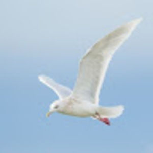 Meet your Posher, Maria isabel